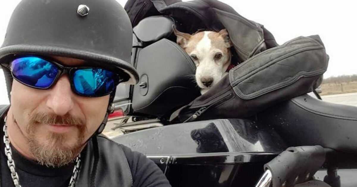 Motociclista vê homem batendo em cachorro na estrada e o resgata e faz dele seu novo co-piloto