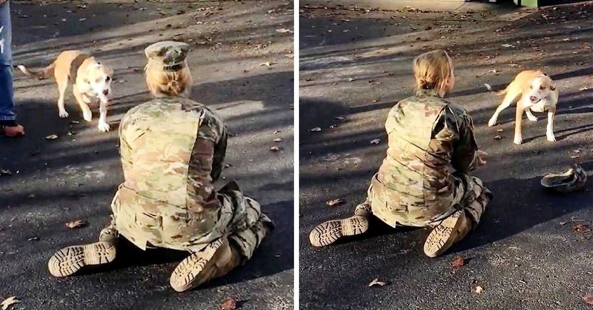 Quando seu cachorro a rejeita após seu retorno, uma mãe do exército fica chateada e tira o chapéu