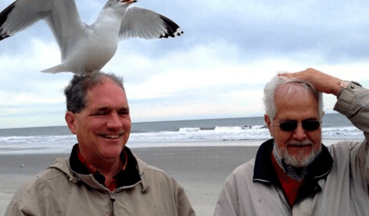 Doze anos seguidos, a gaivota volta todos os dias para o homem que salvou sua vida