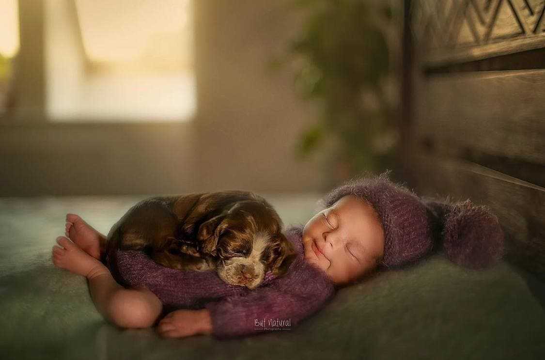 Um fotógrafo fotografa bebês recém-nascidos aconchegados com animais, e as fotos são adoráveis