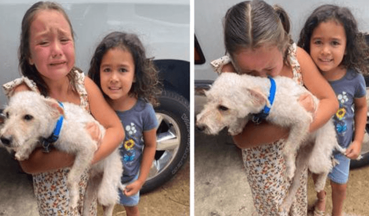 Garotinha não consegue parar de chorar de alegria quando seu cachorro perdido é finalmente encontrado
