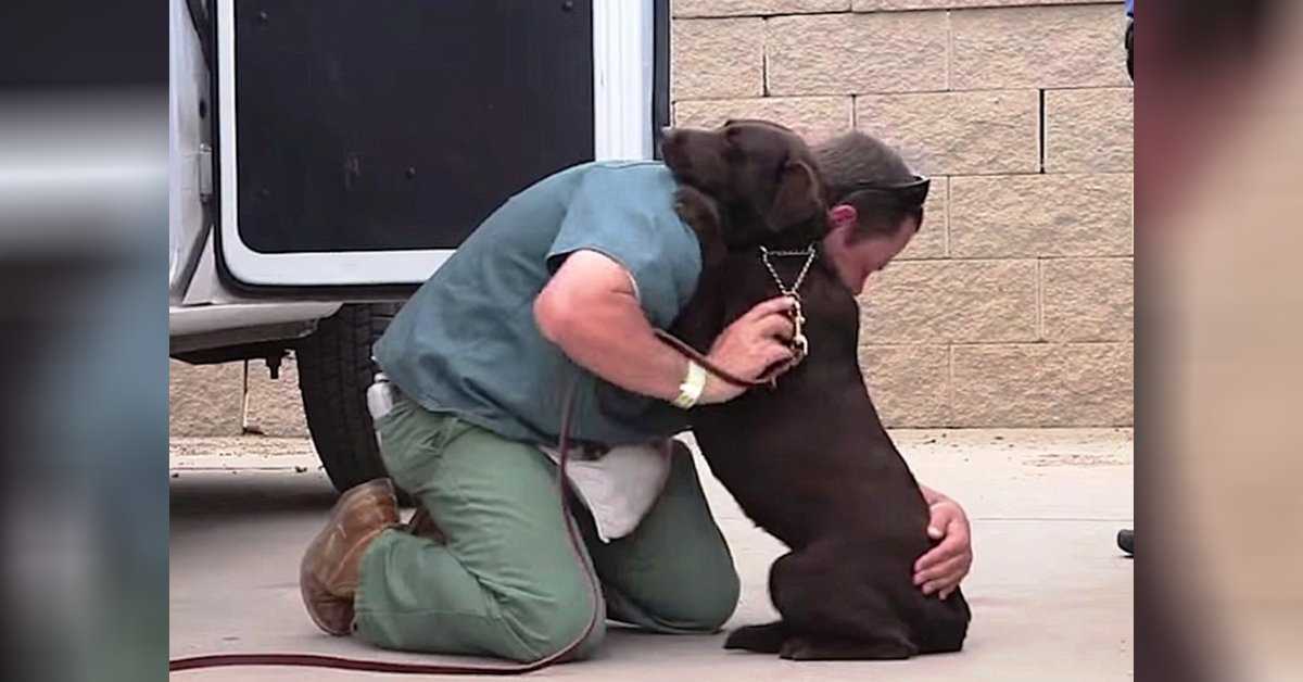 Cão foi levado para ser sacrificado, mas um preso lhe deu um abraço apertado